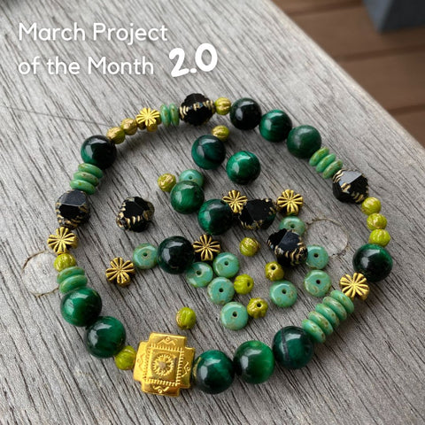 March 2024 Project of the Month Kit 2.0